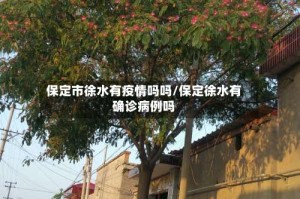 保定市徐水有疫情吗吗/保定徐水有确诊病例吗