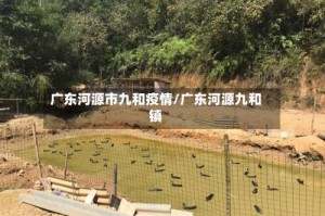 广东河源市九和疫情/广东河源九和镇