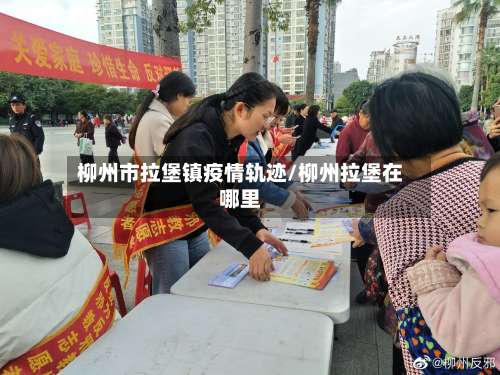 柳州市拉堡镇疫情轨迹/柳州拉堡在哪里-第2张图片