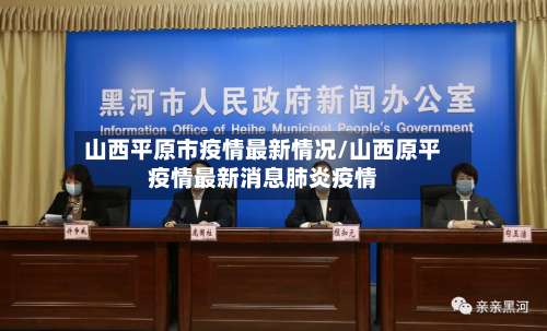 山西平原市疫情最新情况/山西原平疫情最新消息肺炎疫情-第1张图片