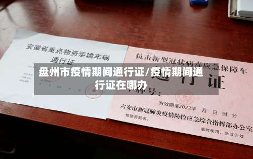 盘州市疫情期间通行证/疫情期间通行证在哪办-第2张图片