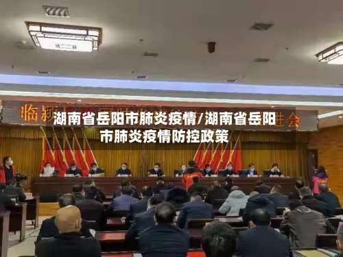 湖南省岳阳市肺炎疫情/湖南省岳阳市肺炎疫情防控政策-第1张图片