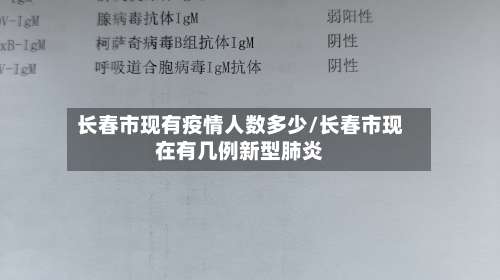 长春市现有疫情人数多少/长春市现在有几例新型肺炎-第3张图片